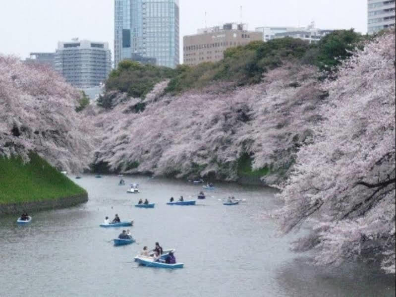 镰仓湘南水晶酒店 藤泽市 外观 照片